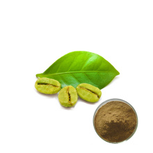 100% nature best price green coffee bean extract